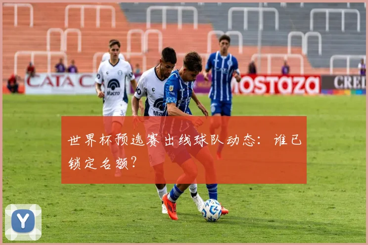 世界杯预选赛出线球队动态:谁已锁定名额?
