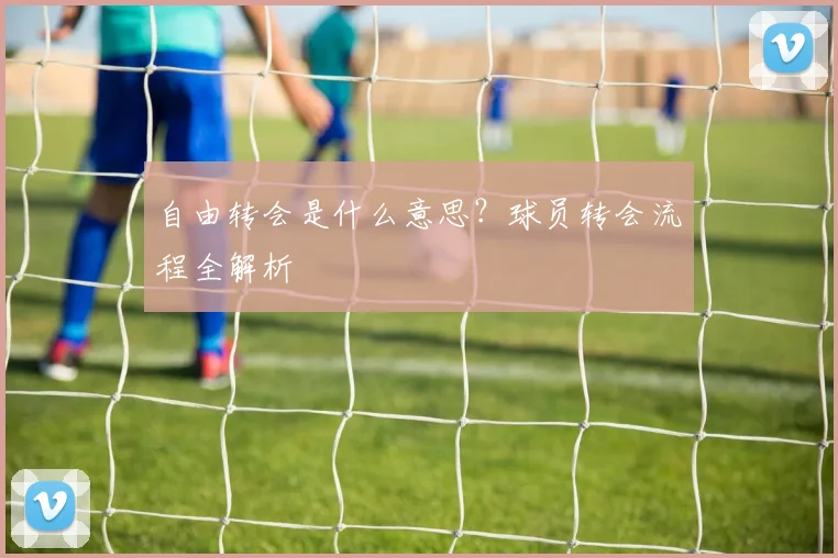 自由转会是什么意思？球员转会流程全解析