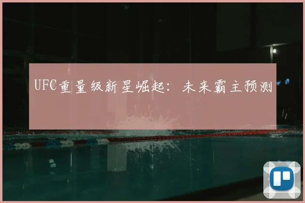 UFC重量级新星崛起：未来霸主预测