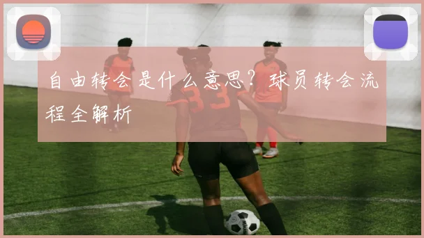 自由转会是什么意思？球员转会流程全解析