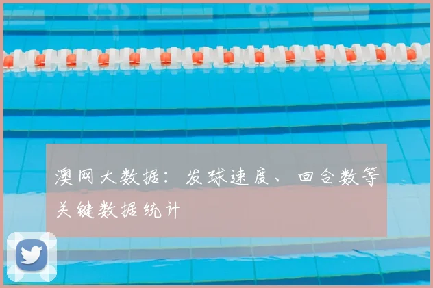 澳网大数据：发球速度、回合数等关键数据统计