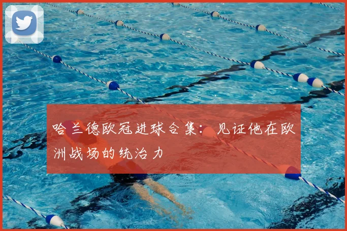 哈兰德欧冠进球合集：见证他在欧洲战场的统治力