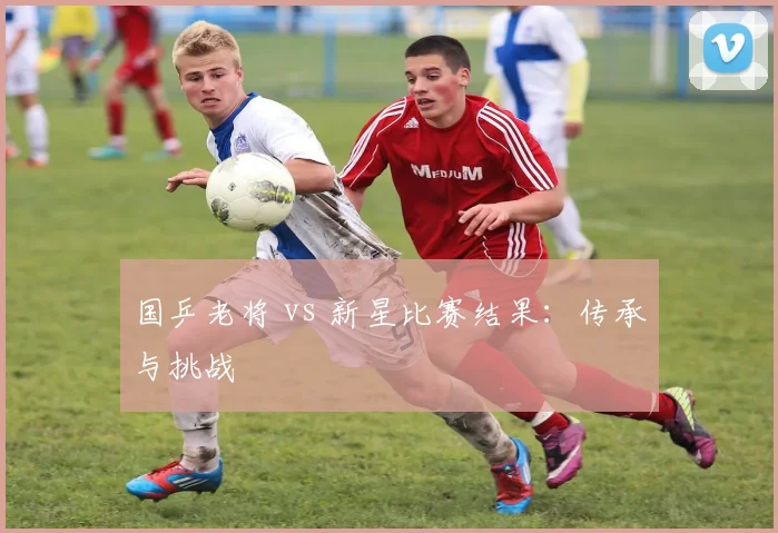 国乒老将 vs 新星比赛结果：传承与挑战