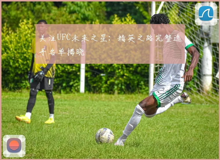 关注UFC未来之星：精英之路完整选手名单揭晓