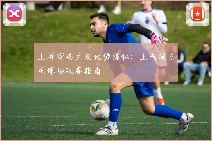 上海海港主场优势揭秘:上汽浦东足球场观赛指南